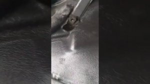 Ремонт стеклоподьемника на мерседес w203