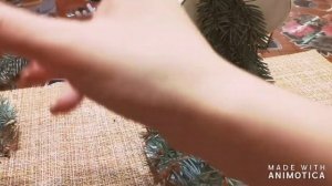 Мастер класс ПАРЯЩАЯ ЧАШКА 2020. Новогодняя поделка.