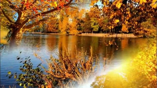 Красавица осень прощается с нами .