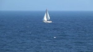 Видеофон. Футаж. Море. Парусник