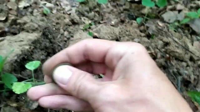 Коп по старинным местам.