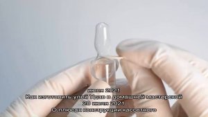 Инсектицид Регент не даст колорадскому жуку шанса выжить