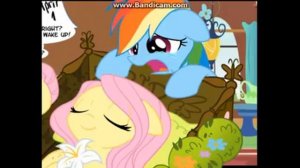 Rainbow Dash и Fluttershy