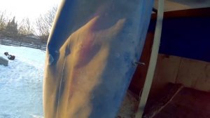 покупка БЫКА! Бык производитель для наших коров.