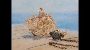 Морские сокровища