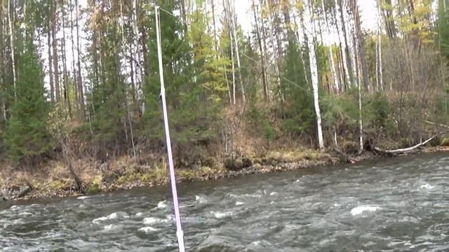 3 дня на реке Вижай. рыбалка на хариуса.#1 смотреть онлайн