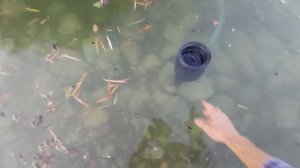 Ремонт и установка скимера в пруд  с поплавочной частью . Как работает Скиммер OASE AquaSkim 20