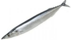 Шикарные экземпляры стрелозубой камбалы.  Хороша ли сайра как нажива