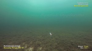 СЕКРЕТЫ АНИМАЦИИ  реплики Bassday Range Vib 70. Подводные съемки на 4.5 м