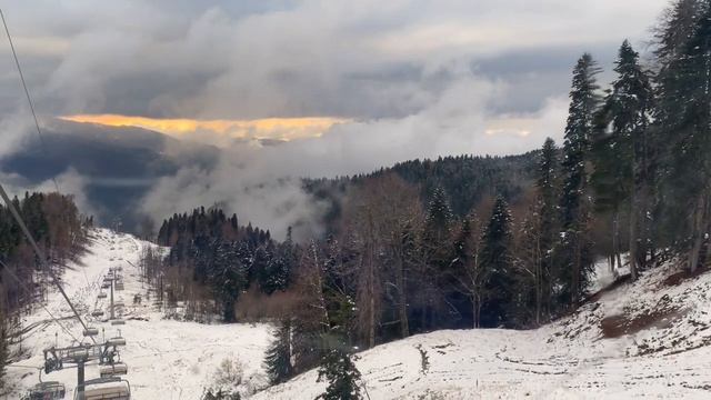 ПОСЛЕДНИЕ НОВОСТИ ИЗ ТИХУАНА смотреть онлайн