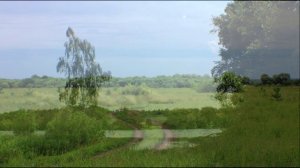 "ОКОЛДОВАНО СЕРДЦЕ НАВЕК" - (Фото Юрия Сизова (Владимир) - Поют Г. Белов и Э. Жерздева)