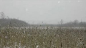 Иеромонах Роман. «А первый снег, а первый снег потает...»