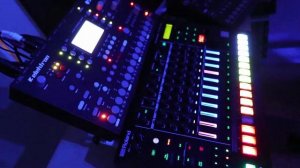 Dub reggae on Roland TR8S, Elektron Octatrack: Fish of the Day