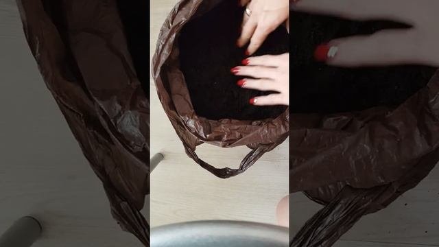 Универсальный грунт для комнатных растений.
