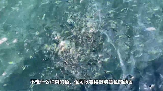 3) 3D2N Malaysia island (Pulau Tioman) MAY NOT CONSIDER RETURN BACK HERE AGAIN‼️12pm的船尽然延迟在延迟?吐血