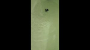 шум воды в ванной, быстрый сон/ bath filing, sleeping, relaxing #шумводы #asmr #sleep #рекомендации