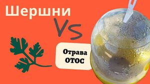 Неудачная попытка избавиться от шершней: обзор средства Отос