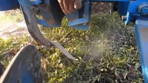 Картофелесажалка с дозатором удобрения в работе