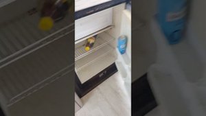 обзор катера Bayliner Ciera 2858