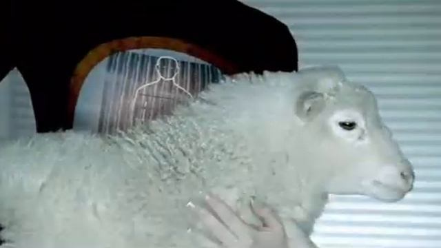 Olga Orlova смотреть онлайн