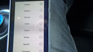 Новая версия LeafSpy Pro (v. 045.161ru/en) и смена языка приборной панели.
