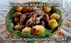 Шашлык из картофеля и куриные крылышки на садже ?