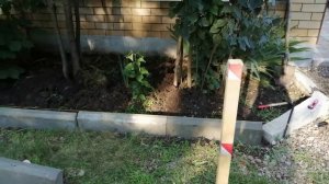 ДЕЛАЕМ БОРДЮР В ПАЛИСАДНИКЕ/ ЖИТЬ В ДОМЕ/ СДЕЛАЙ САМ