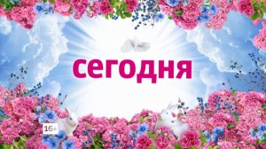 Смотри сегодня