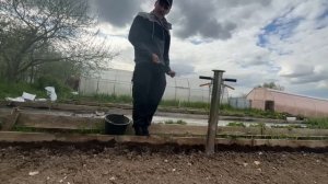 Тонкости посадки лука-севка в 2023 году !!! семенйые посиделки влог