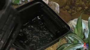 Скиммер для крупного водоема Aquascape Signature Series™ 1000 Pond Skimmer GLQ