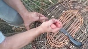 Плетение большой хозяйственной корзины с двумя ручками из ивы: Подробное видео с субтитрами.