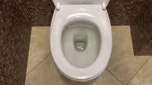 Унитаз подвесной Jacob Delafon Patio EDV102-00