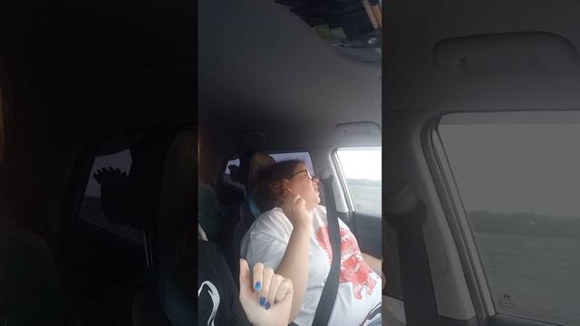 #поехалиснами #автопутешествиепороссии