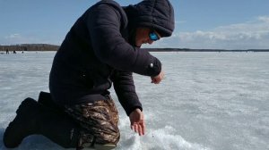 #водохранилище #рыбалка #fishing /Рыбалка Закрытие сезона- Красновидово, Можайское Водохранилище