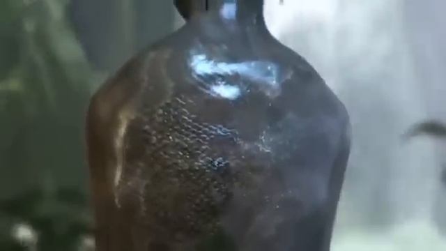 Gryf Transformation Woman Into Snake