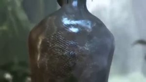 Gryf Transformation Woman Into Snake