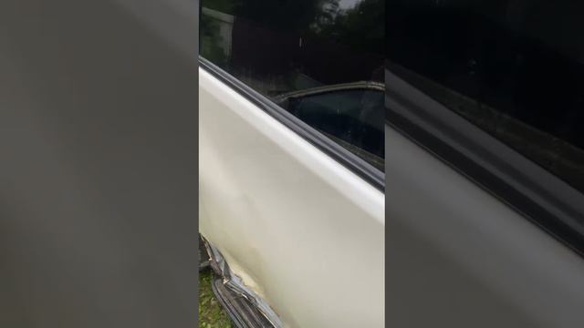 VID-20240613-WA0012.mp4
