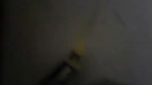 Испуганный попугай