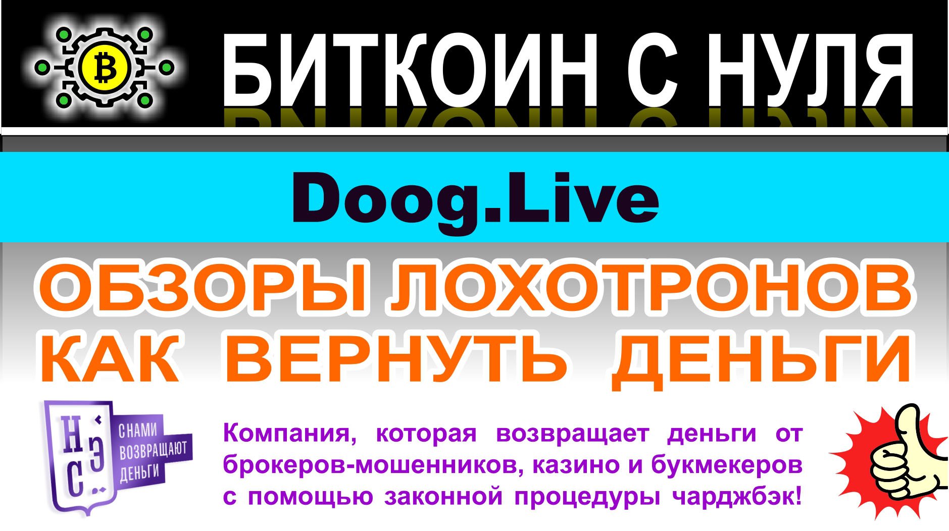 Doog.Live — снова реинкарнация заморского лохотрона. Опасно сотрудничать. Отзывы.