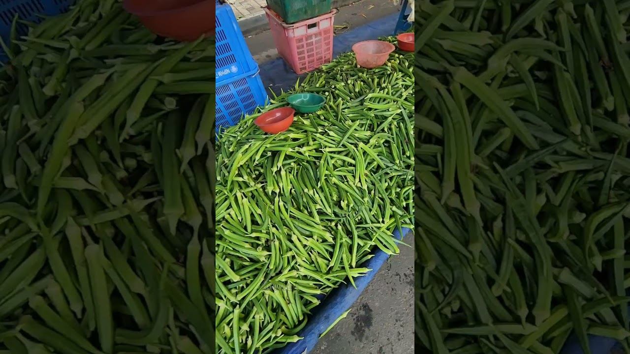 Сплошная экзотика на рынках Шри-Ланки смотреть онлайн