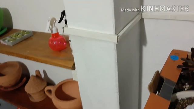 Recebidos Suculentas da Dani смотреть онлайн