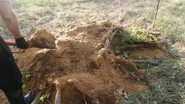 Примитивное укрытие землянка в лесу своими руками  за 6 часов - build a dugout in the forest