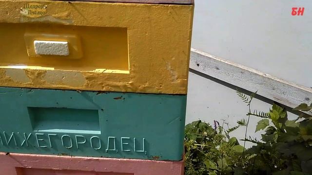 что случилось с корпусами, акриловая краска смотреть онлайн