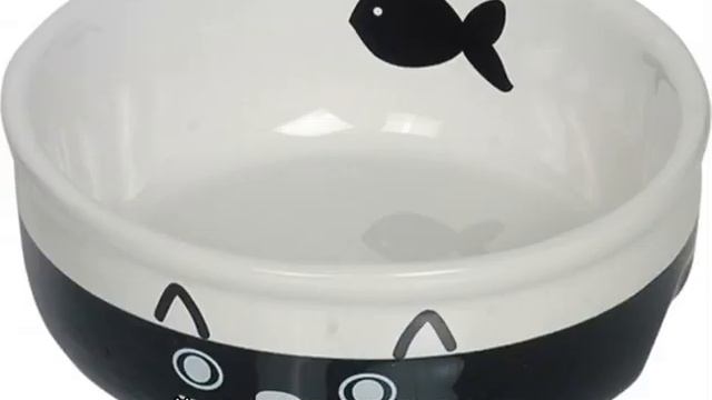 Котенок не пьет воду — варианты как приучить питомца смотреть онлайн