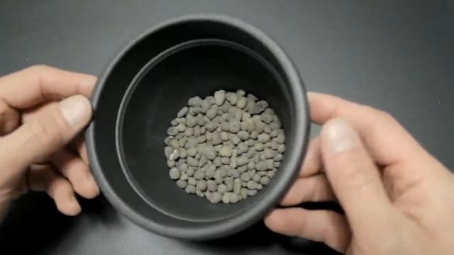 ARANCE, FAI NASCERE UNA PIANTA 7 GIORNI, TRUCCO INFALLIBILE,arance orange plant, planta de naranja смотреть онлайн