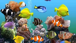 лучший расслабляющий аквариум в 4K UHD 🐠 Anti-Stress Music, Relax and Meditation.