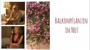 Balkonpflanzen in Not | Dialog A2, B1