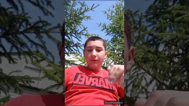 Цветущая дача все лето:Правила посадки лилий и гладиолусов! надо так...