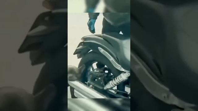 Смешные животные