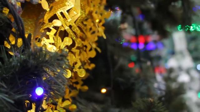 Даша и Вадим. Поздравление сюрприз смотреть онлайн